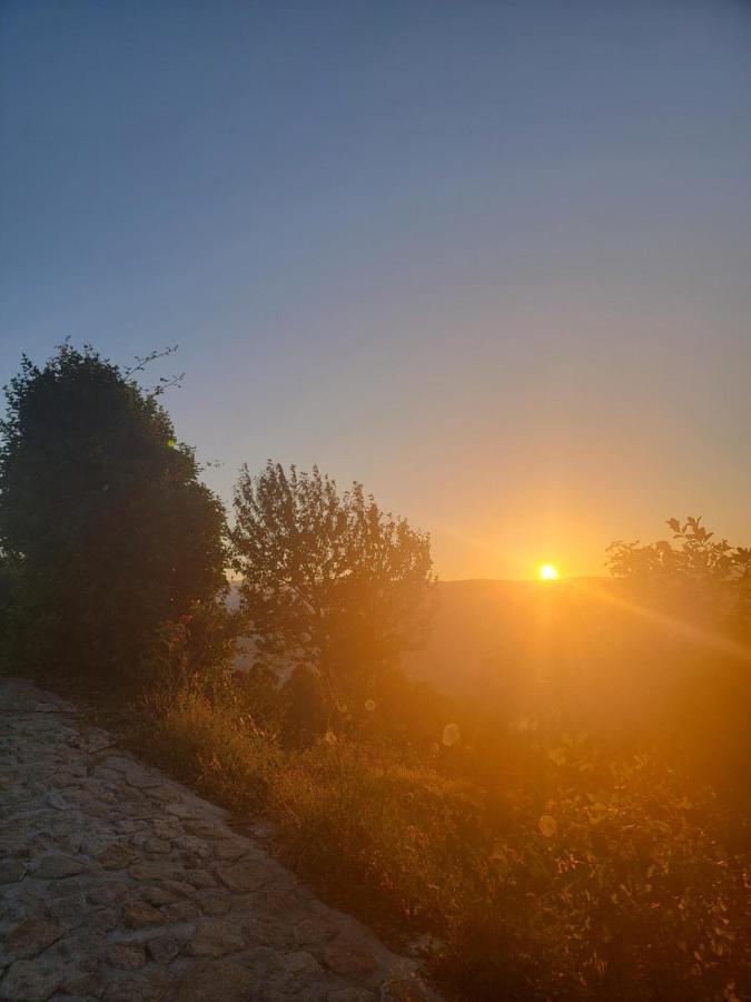 Quinta Da Picouta Villa Arcos de Valdevez Eksteriør billede