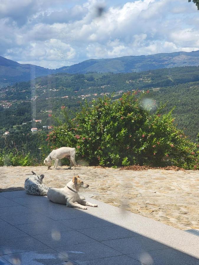 Quinta Da Picouta Villa Arcos de Valdevez Eksteriør billede